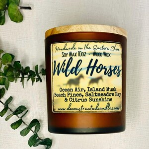 Maryland Delaware Virginia Chesapeake Bay Ocean City Chincoteague themed Candles Eastern Shore Series Soy Wood Wick Unique Gift Beach Decor image 9