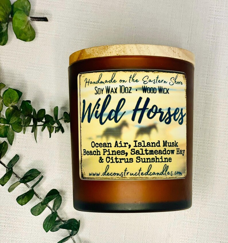 Maryland Delaware Virginia Chesapeake Bay Ocean City Chincoteague themed Candles Eastern Shore Series Soy Wood Wick Unique Gift Beach Decor image 9
