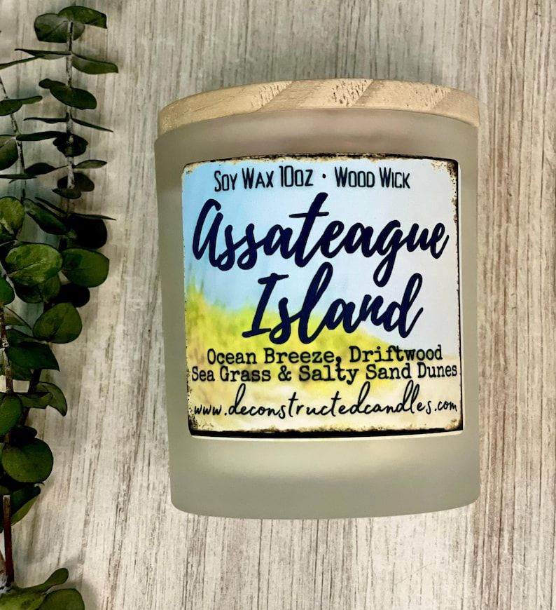 Maryland Delaware Virginia Chesapeake Bay Ocean City Chincoteague themed Candles Eastern Shore Series Soy Wood Wick Unique Gift Beach Decor image 3