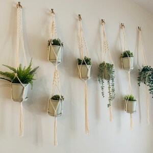 May include: Seven macrame plant hangers with white cord and small potted plants hanging from hooks on a white wall. The plants are in white ceramic pots.
