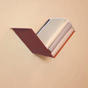 Peut inclure: Une étagère murale en métal en forme de V avec un extérieur rouge foncé et un bord intérieur orange vif. L'étagère contient trois objets rectangulaires empilés aux surfaces lisses et neutres dans des tons crème, beige clair et mauve.