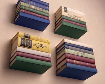 Floating Bookshelf: Invisible Metal Book Shelf, Wall Mounted Book Holder