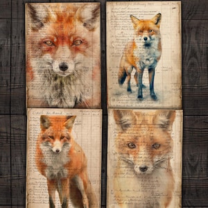 Pages imprimables de renard roux, papiers de grand livre de 6 x 4 pour kit de journal indésirable, albums de coupures, travaux manuels en papier, téléchargement d'animaux de la forêt à l'aquarelle