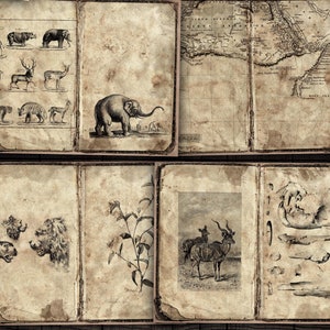 Pagine del diario digitale della spazzatura Safari africano, kit stampabile per riviste, album di ritagli, lavori di carta, download PDF JPG