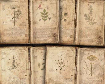 Digital Herbs Botanical Pages, Printable Herb Ephemera for Junk Journals, Scrapbooks, Paper Crafts