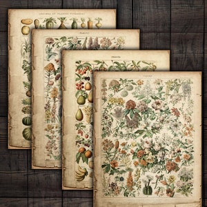 Printable Botanical Papers, Digital Adolphe Millot Flowers, Fruit, Vegetables, Garden Ephemera for Junk Journals, Paper Crafts