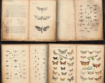 Digital Insects Junk Journal Pages, Moths, Butterflies Ephemera for Journals, Scrapbooks, Paper Crafts