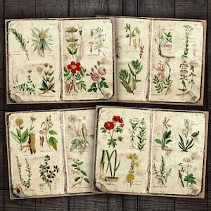 Digitale botanische ongewenste dagboekpagina's, afdrukbare bloementuin Ephemera Kit voor tijdschriften, plakboeken, papierambachten