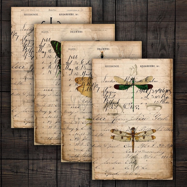 Printable Dragonflies and Insects Ledger Pages for Junk Journals, Scrapbooks, Mixed Media Paper Crafts