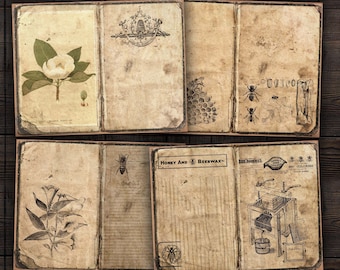 May include: Six vintage style printable journal pages with a bee and honeycomb theme. The pages feature illustrations of flowers, bees, and a honey extractor. The text on the pages includes "Honey and Beeswax" and "200 Colonies".