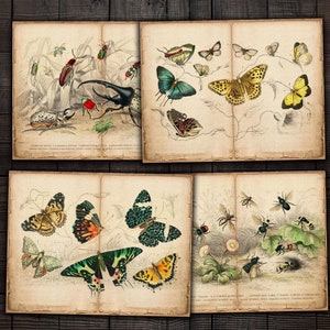 Pagine di diario spazzatura di insetti digitali, api, farfalle effimere per diari, album di ritagli, lavori di carta