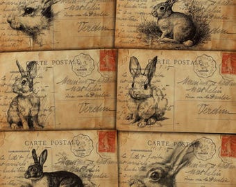 Vintage Rabbit Postcards: Antique Ephemera for Junk Journals, Paper crafts (Digital Download)