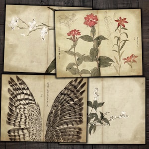 Vintage Japanse afdrukbare pagina's voor ongewenste tijdschriften, antieke Japanse ephemera, digitaal papier voor tijdschriften, ambachten, download digitale kit