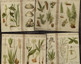 Junk Journal Printable Botanical Pages, Vintage Forest Ephemera for Journals, Scrapbooking, Paper Crafts