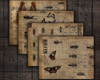Junk Journal Insekten Entomologie druckbares Papier, Hintergrund Ephemera für Journals, Scrapbooks, Crafts