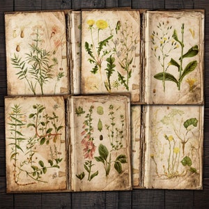 Botanical Grunge Junk Journal Pages, Printable Kit for Journals, Scrapbooks, Paper Crafts, Instant Download