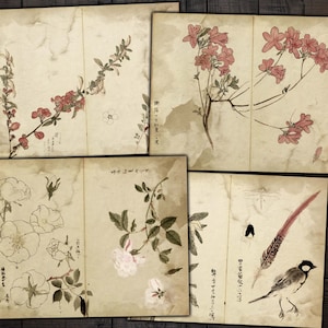 Botanical Junk Journal Pages: Antique Japan Ephemera (Digital Download)