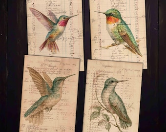 Hummingbird Ephemera: Antique Ledger Pages for Junk Journals (Digital Download)