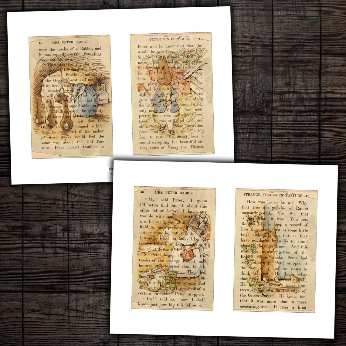 Peter Rabbit Junk Journal Printable Pages, 6x4 Beatrix Potter Digital ...