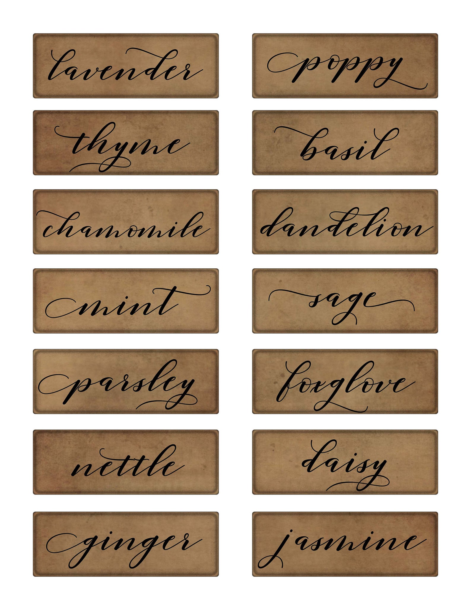 Herb Printable Words Names of Herbs for Garden Kitchen Etsy