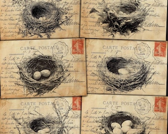 Vintage Bird Nest Postcards: Antique Ephemera for Junk Journals (Digital Download)