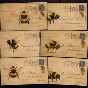 Puede incluir: Un conjunto de postales de estilo vintage con ilustraciones detalladas de abejorros. Cada tarjeta tiene un fondo color crema con efectos de papel envejecido, sellos postales y texto manuscrito. Las abejas están representadas en amarillo y negro.
