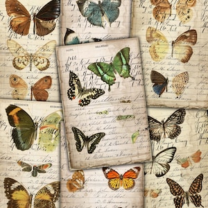Livros imprimíveis de borboletas antigas, coisas efêmeras digitais de borboletas e mariposas para diário de lixo, revistas de arte, álbuns de recortes, artesanato
