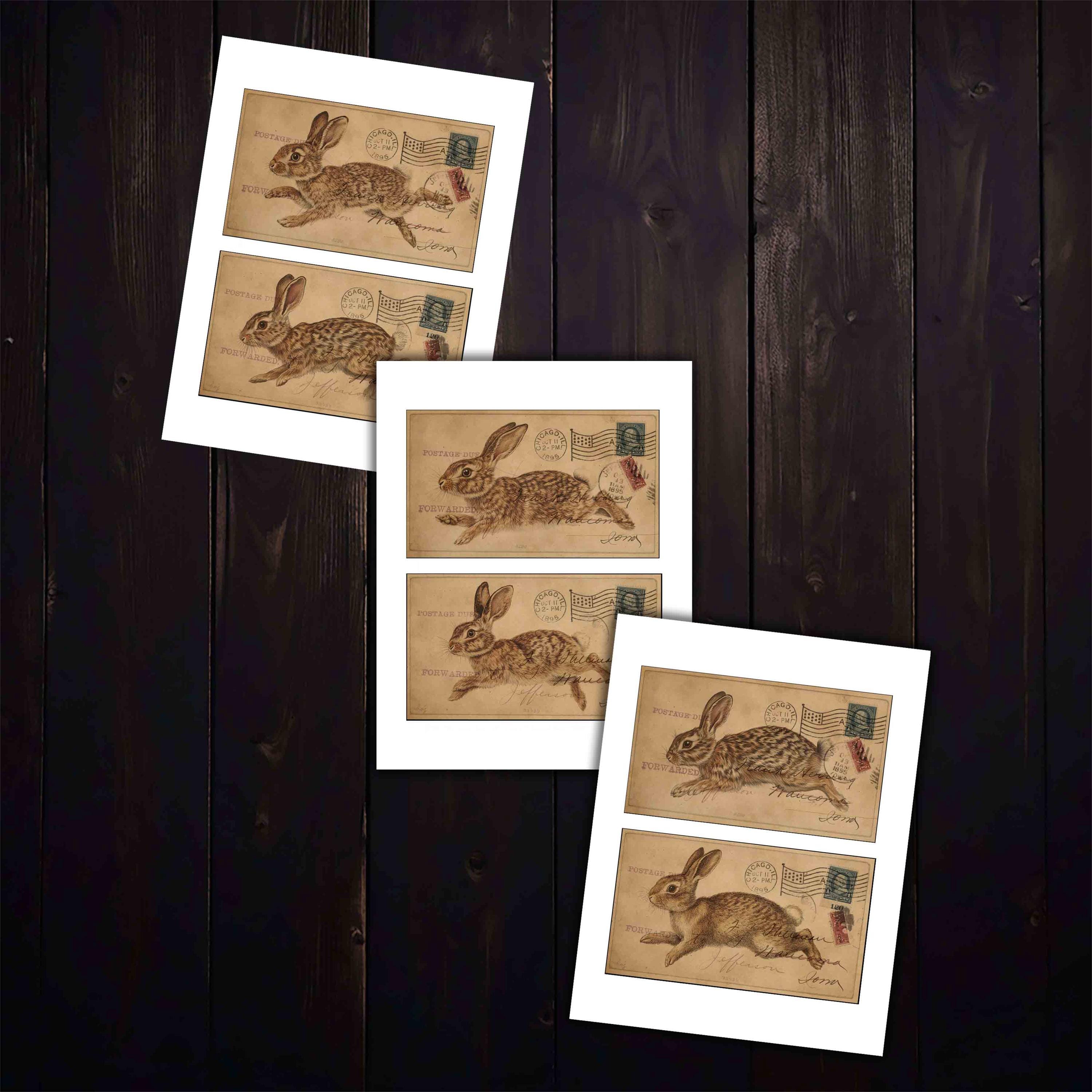 Vintage Rabbit Postcards: Printable Ephemera for Junk Journals (digital ...