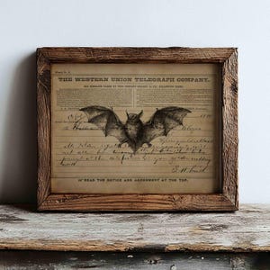 May include: A framed vintage Western Union Telegraph Company document featuring a central black and white illustration of a bat. The paper has a sepia-toned, aged appearance with handwritten cursive text and printed headers in a rustic wooden frame.