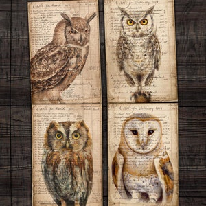 Owl Ledger Pages: Grunge Scrapbook Paper (Digital Download)