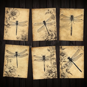 Coisas efêmeras imprimíveis de libélula vintage para diários indesejados, colagem de mídia mista, álbum de recortes, artesanato em papel, kit de download digital