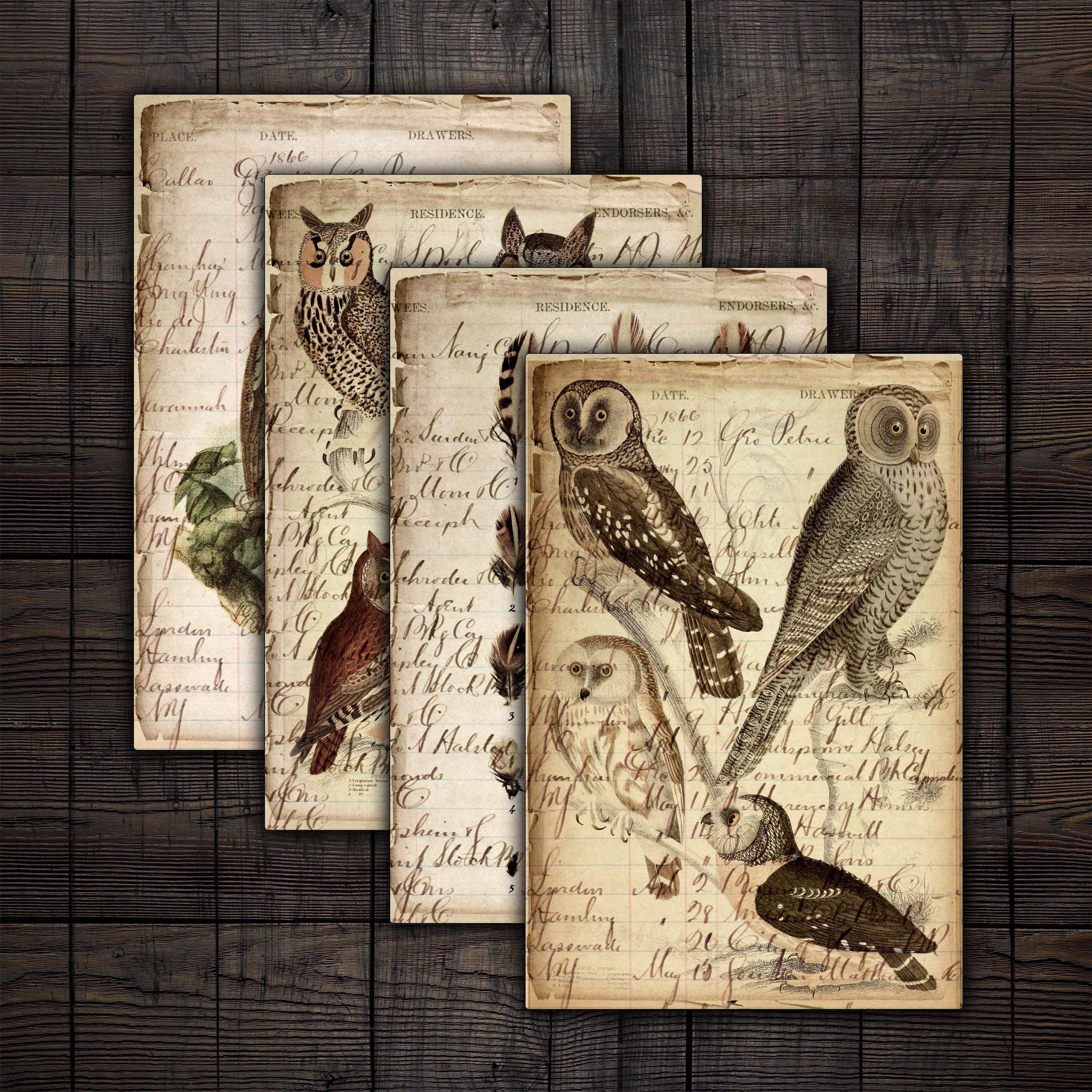 Antique Owl Ledger Pages: Junk Journal Printable (Digital Download)