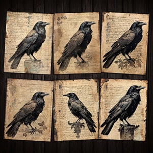 Grunge Ravens Birds Gothic Printable Papers voor Junk Journal, Mixed media Collage, Vintage Halloween ambachten, Digitale downloadkit