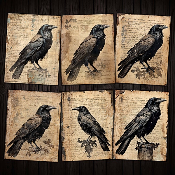 Grunge Ravens Birds Gothic Printable Papers for Junk Journal, Mixed media Collage, Vintage Halloween crafts, Digital download kit
