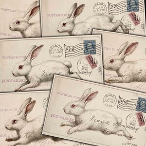 Biały Królik Vintage Postcards Wydrukuj Ephemera do Junk Journals, Dekupaż, Mieszane media, Wielkanocne papierowe rękodzieło, Cyfrowy zestaw do pobrania