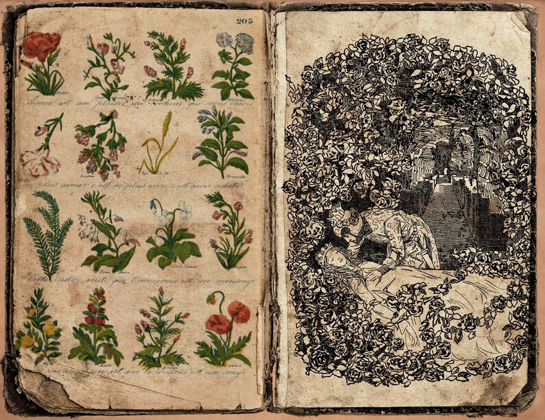 Medieval Fairy Tale Junk Journal Pages Printable Middle Ages - Etsy UK