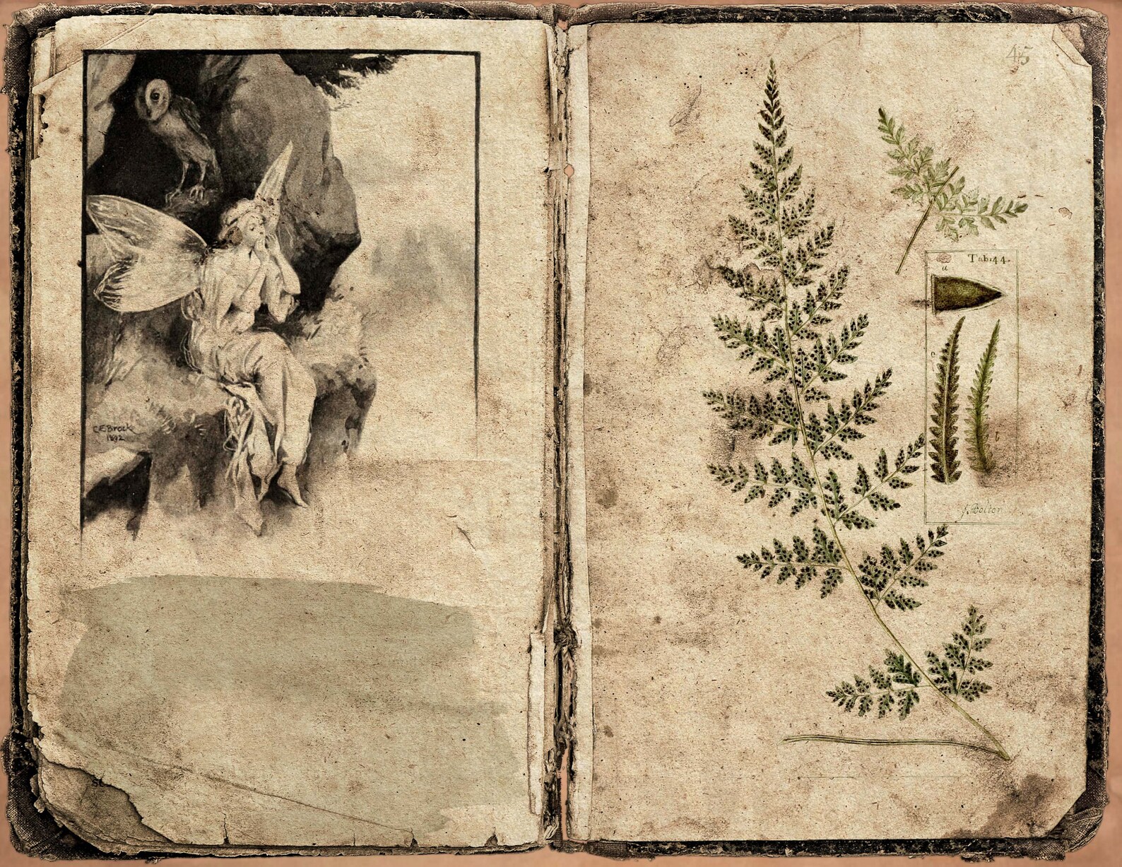 Medieval Fairy Tale Junk Journal Pages Printable Middle Ages | Etsy