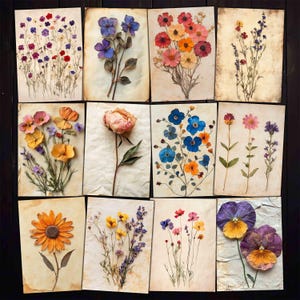 Flores secas para impressão Imagens de primavera Flores silvestres ATC para diários de lixo, colagem de mídia mista, artesanato em papel, download de kit digital