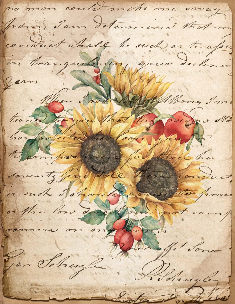 Vintage Autumn Sunflower Digital Printables for Junk Journals - Etsy