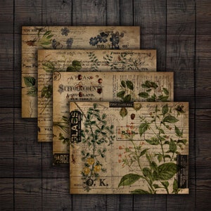 Junk Journal Scrapbook Botanical Ephemera Background Printable Papers, Instant Download