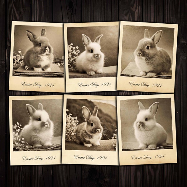 Baby Bunny Rabbits Printable Vintage Style Polaroid Photographs for Easter Junk journals, Mixed media collage, Paper crafts, Digital kit