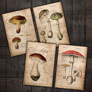 Druckbare Pilz-Hauptbuchseiten, für botanische Junk-Tagebücher, Sammelalben, Papierhandwerk