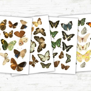 Papillons et mites antiques imprimables, feuilles de collage numériques difficiles pour journaux indésirables, carnet d'art, scrapbooking, travaux manuels techniques mixtes