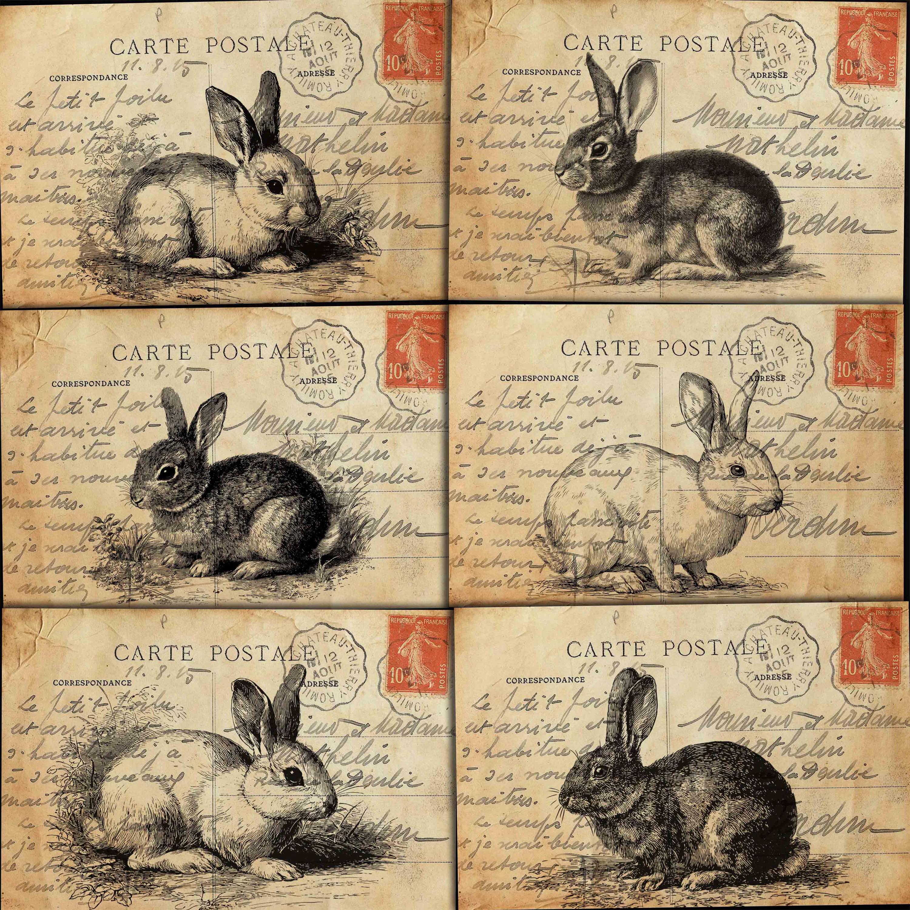 White Rabbit Postcard Vintage Rabbit Postcards: Antique Ephemera for Junk Journals (digital ...