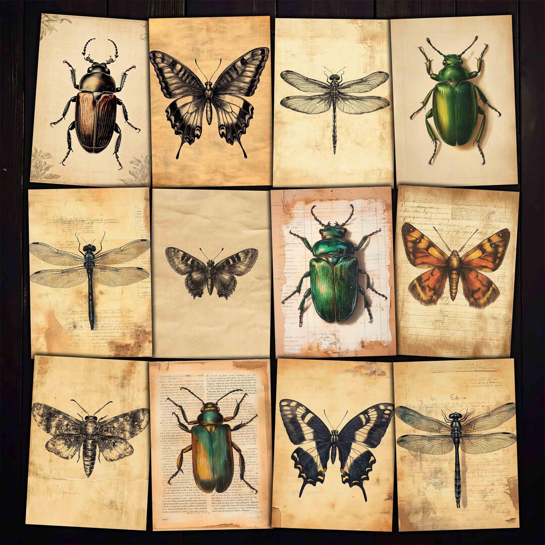 Vintage Insect Images: Printable ATC Cards for Collage (JPG Download ...