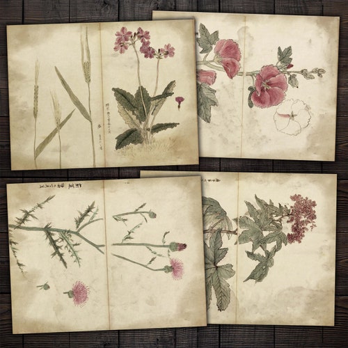 Asian Digital Paper Pack Asian Journal Pack Japanese Junk Etsy