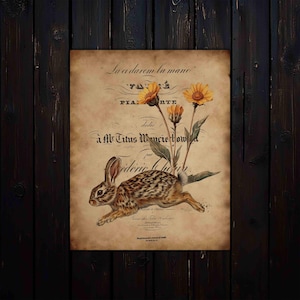 Collage di effimeri conigli vintage 8x10 stampa digitale per decorazioni pasquali, diari spazzatura, decoupage, lavori di carta, download stampabile