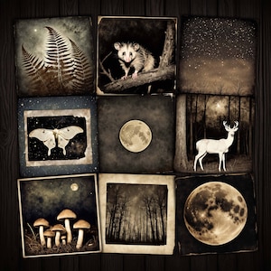 Nachtbos afdrukbare foto's Grunge Collagebladen voor ongewenste tijdschriften Mixed Media, Art Journaling, Scrapbook, Papierambachten