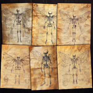 May include: Six vintage-style illustrations of skeletal figures with wings. Each figure is depicted in a standing pose with wings outstretched. The illustrations are printed on a textured, aged paper background.