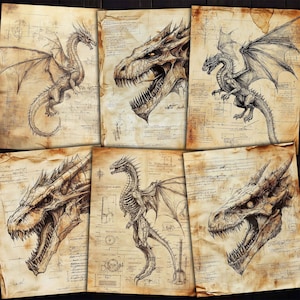 Könnte beinhalten: Ein Set aus sechs Vintage-Drucken mit detaillierten anatomischen Zeichnungen von Drachen. Jeder Druck zeigt eine andere Drachenpose und Skelettstruktur mit filigranen Details und einem Sepiaton.